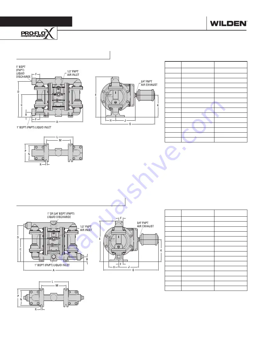 Dover PSG Wilden PX220 Скачать руководство пользователя страница 6