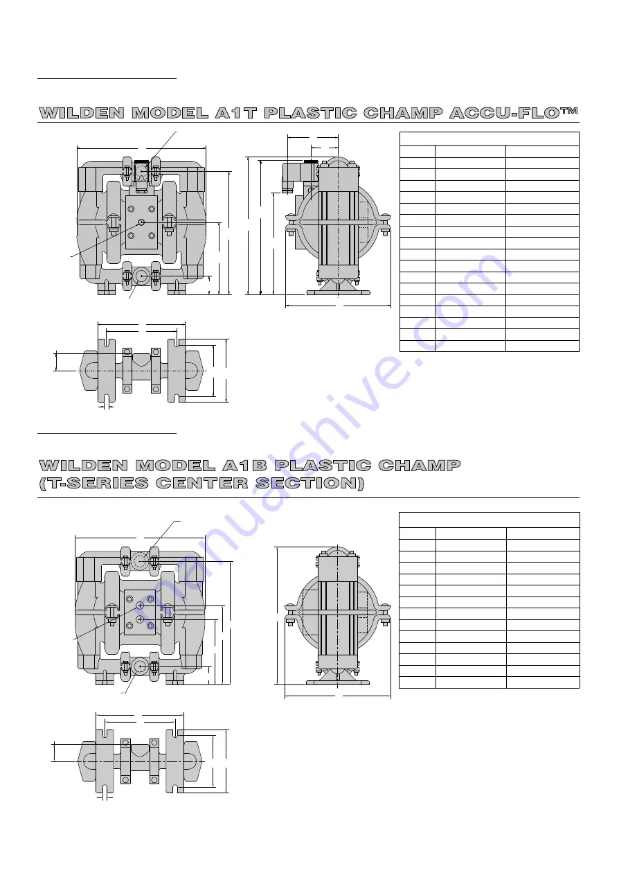 Dover WILDEN A1 Series Скачать руководство пользователя страница 6