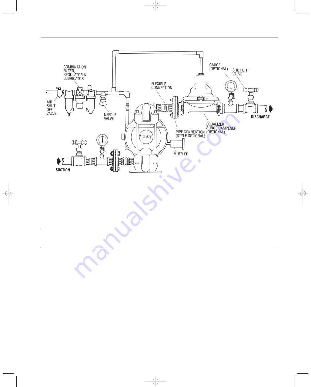 Dover WILDEN BioPharm T2 Series Engineering, Operation & Maintenance Download Page 9