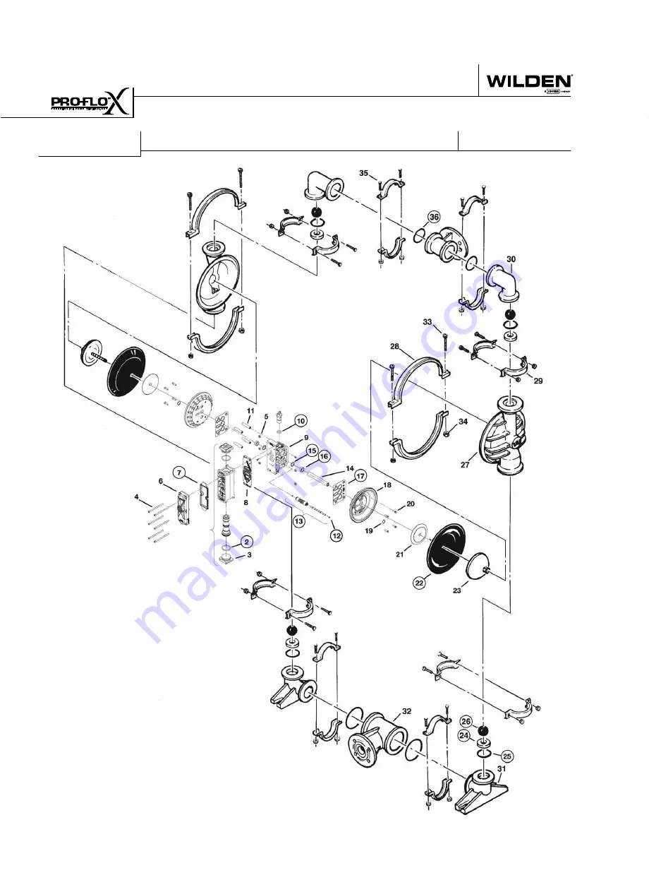 Dover Wilden Pro-Flo P4 Series Скачать руководство пользователя страница 36