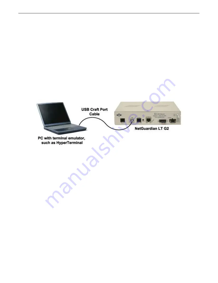 DPS Telecom D-PK-NGDLT User Manual Download Page 21