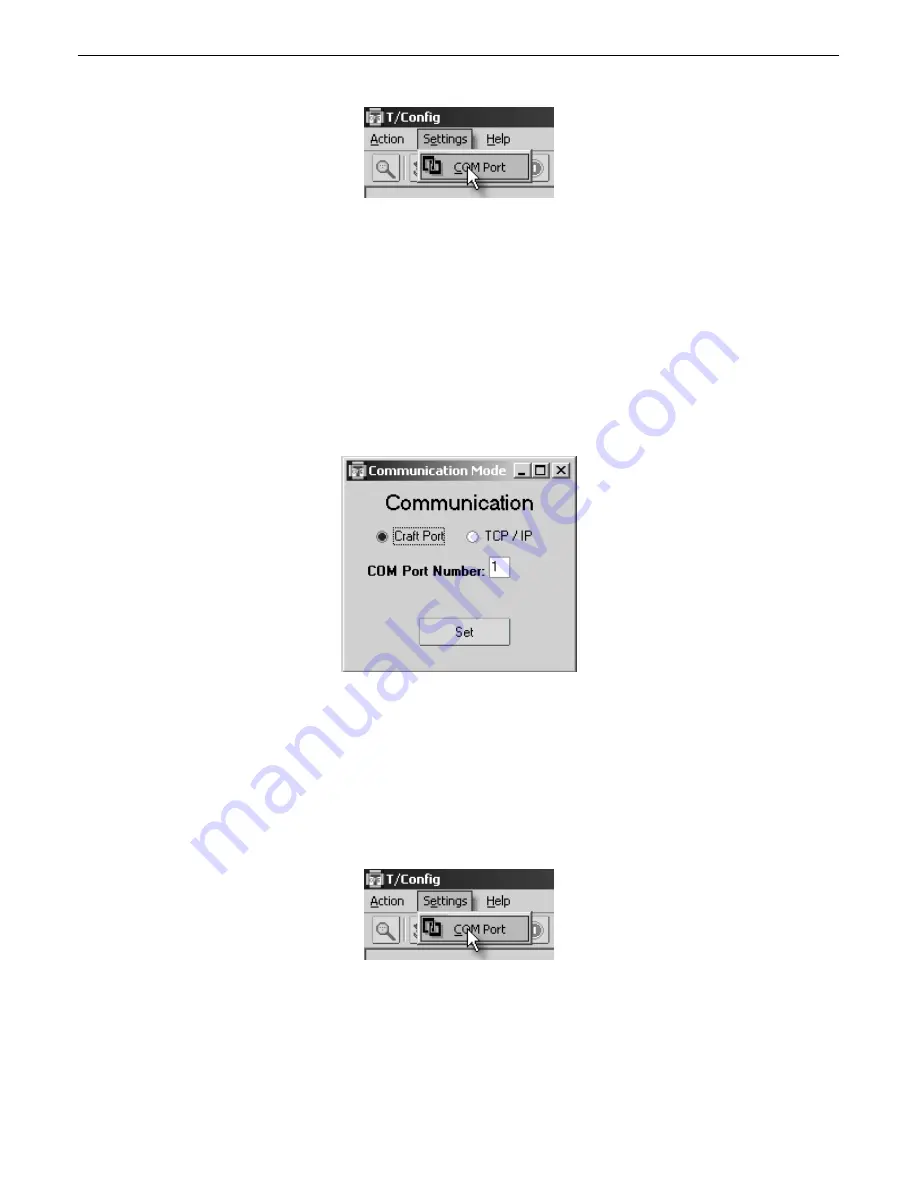 DPS Telecom NetGuardian 216 DCP User Manual Download Page 21