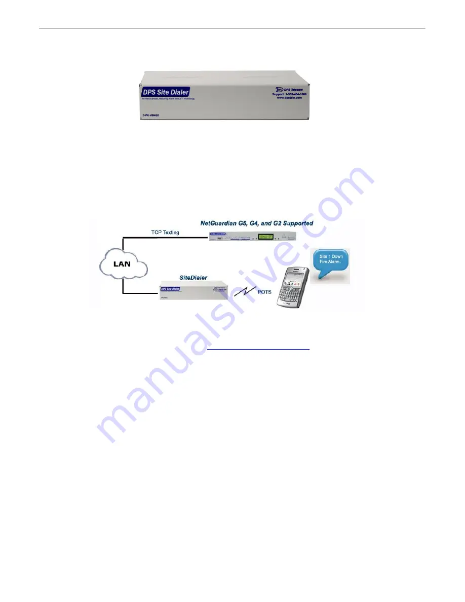 DPS Telecom NetGuardian 832/864A Скачать руководство пользователя страница 5