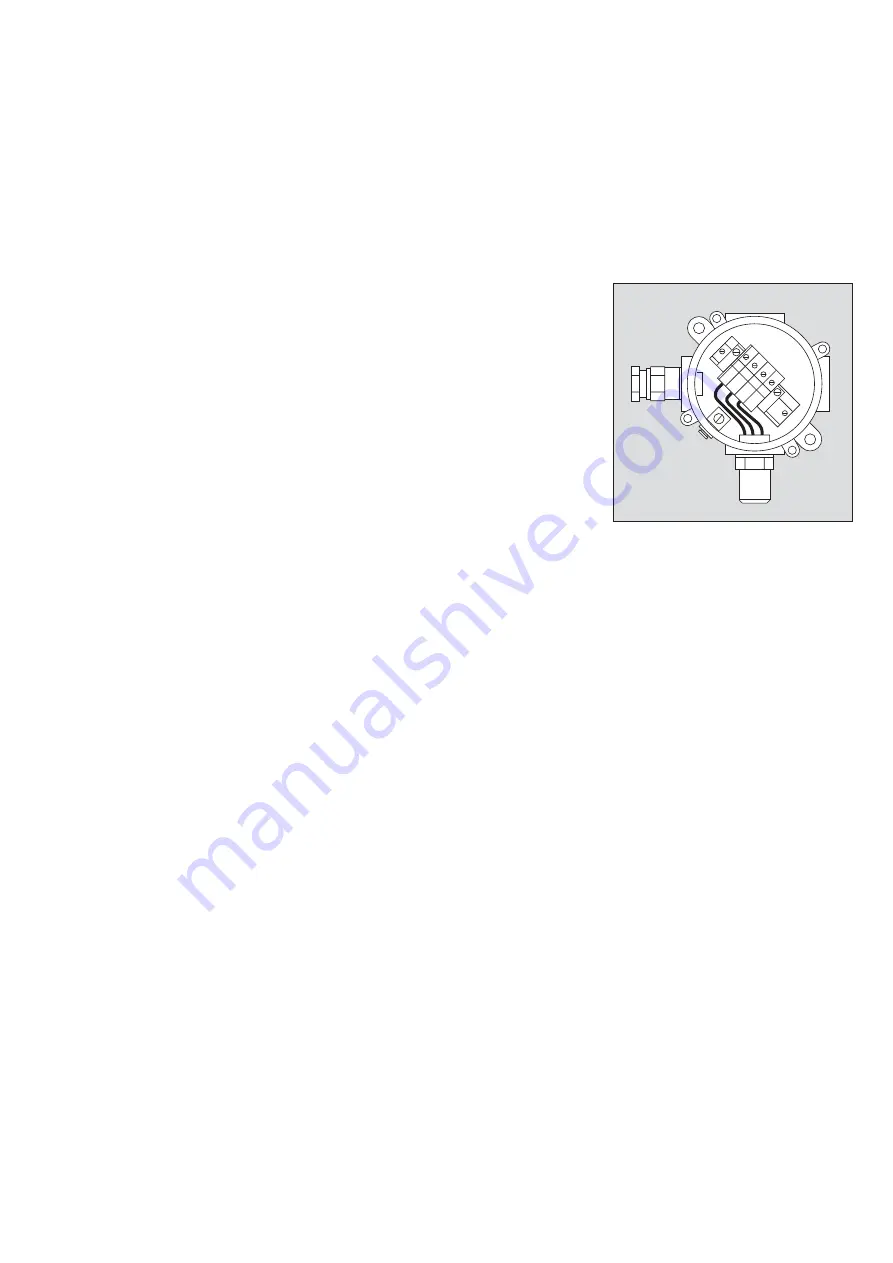 Dräger SE Ex HT M Instructions For Use Manual Download Page 21