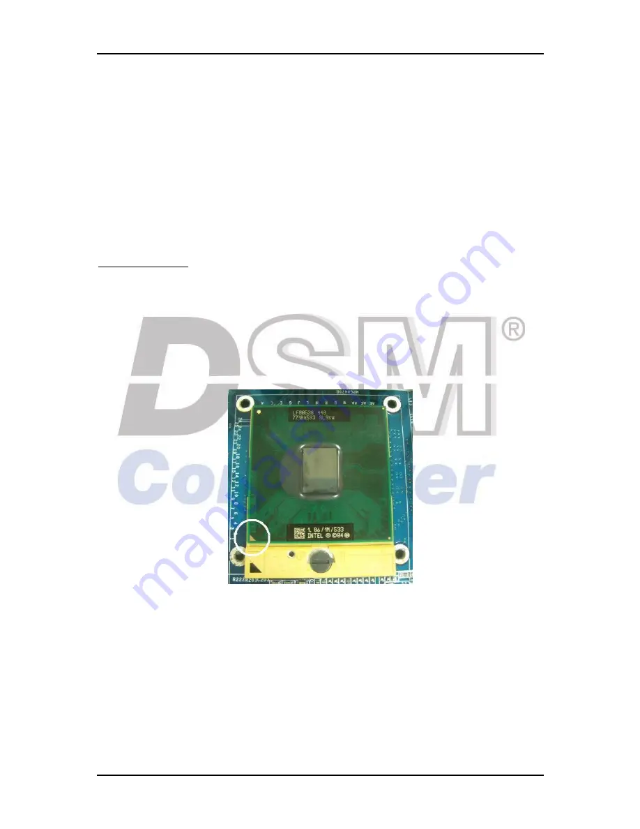 DSM Computer AG 96M4281o Скачать руководство пользователя страница 62