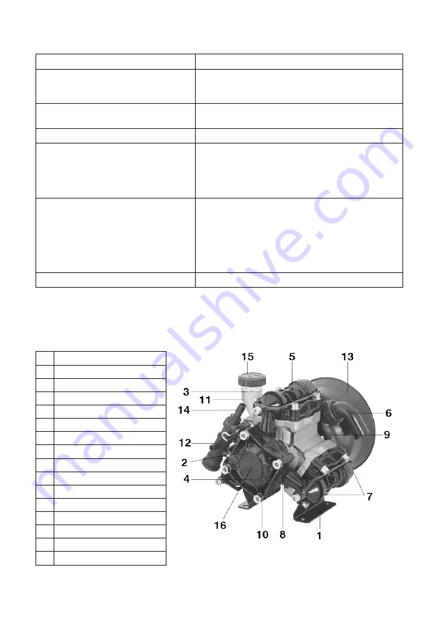 Dual Pumps BP 125 Скачать руководство пользователя страница 7