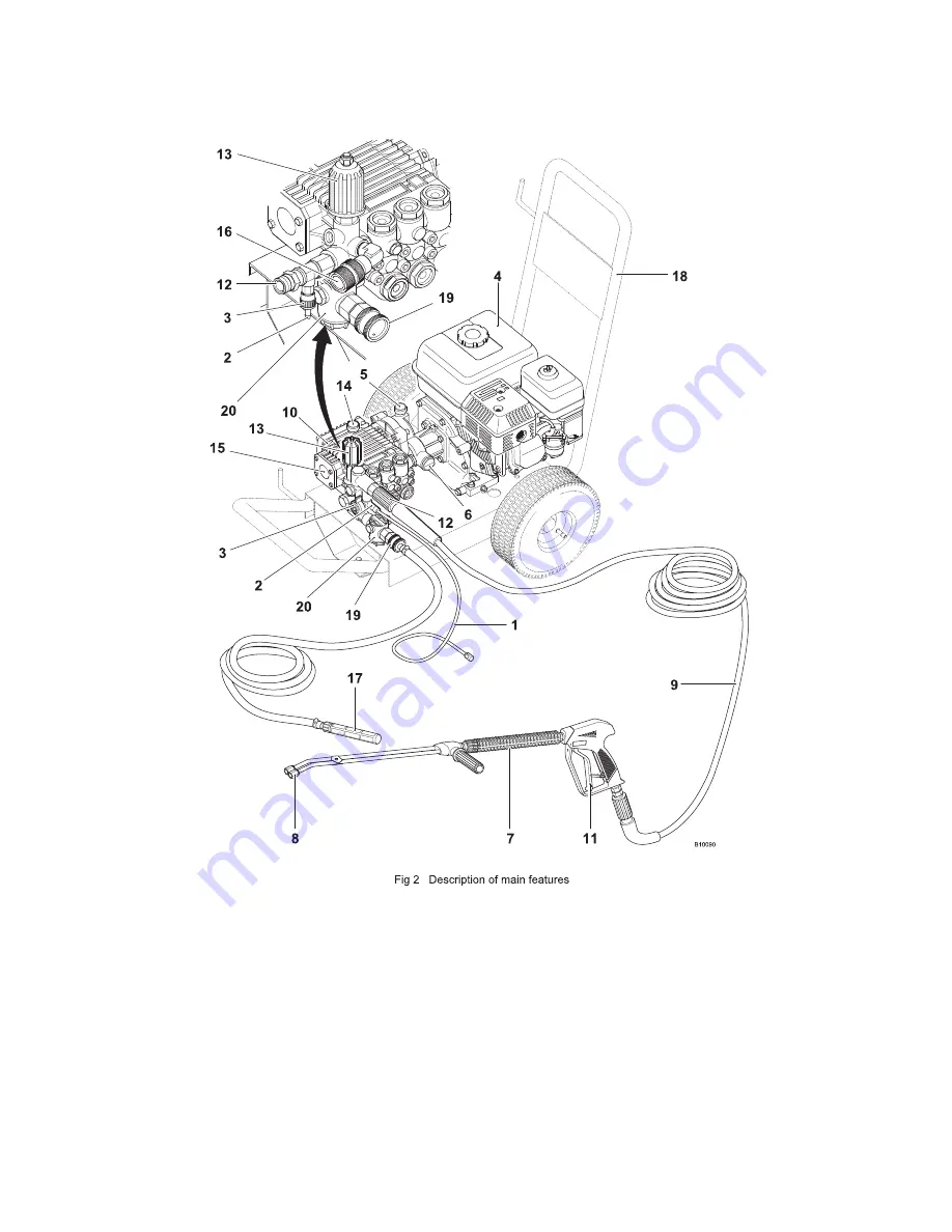 Dual Pumps CF10135PHR Скачать руководство пользователя страница 7