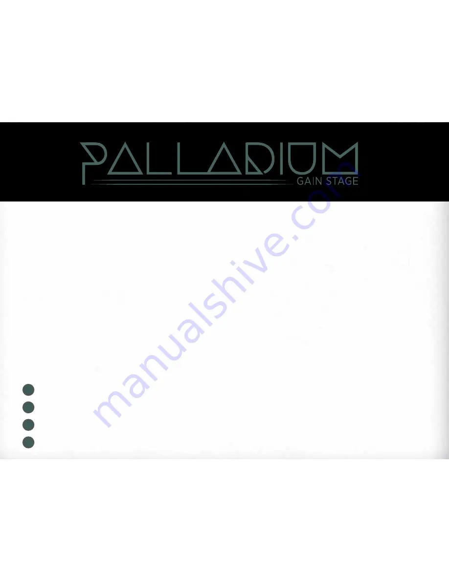 Duncan Palladium Gain Stage User Manual Download Page 2