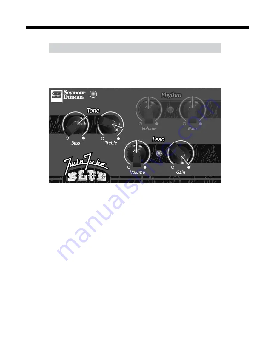 Duncan Twin Tube Blue SFX-11 User Manual Download Page 9