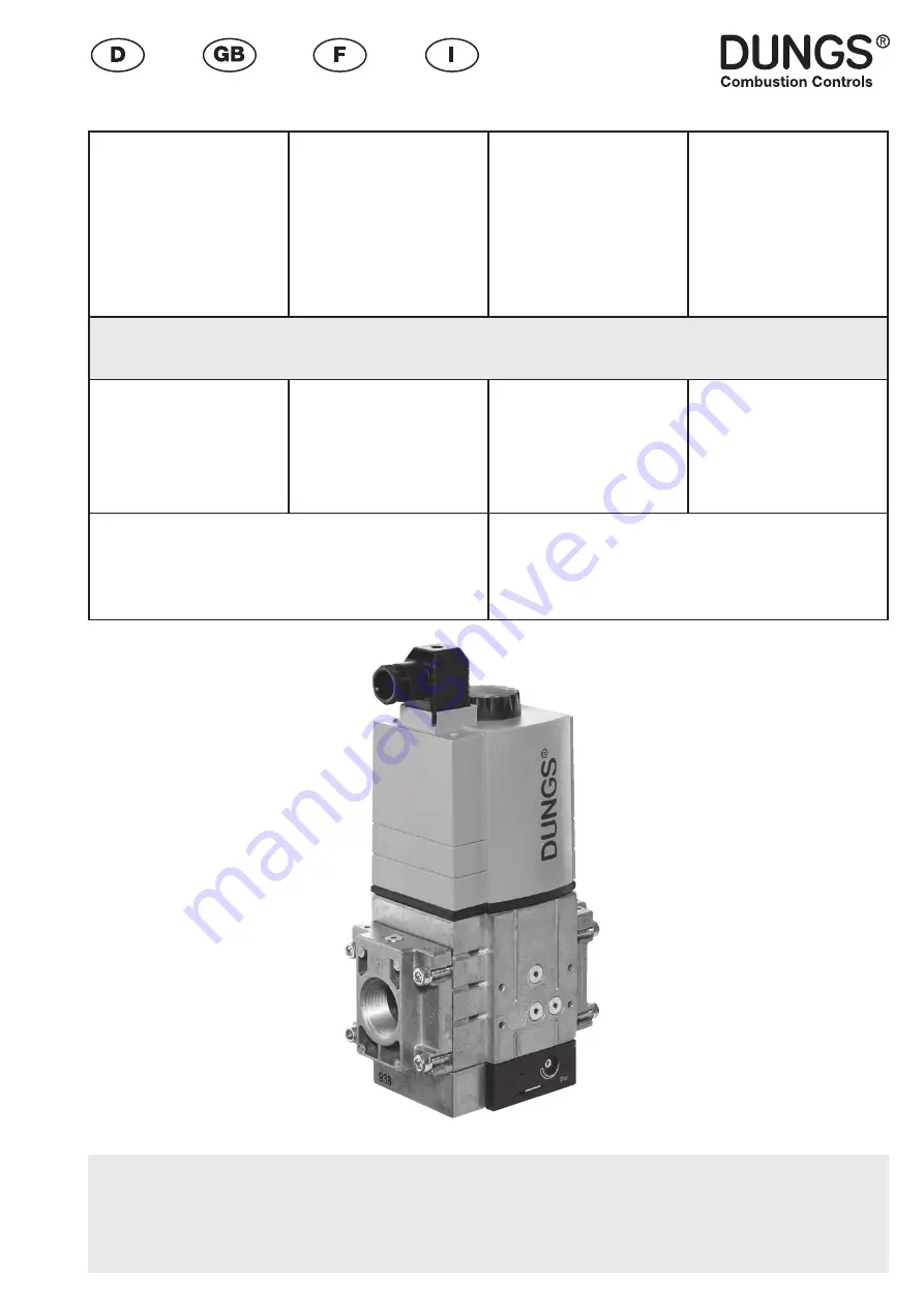 Dungs 241 484 Instructions Manual Download Page 1