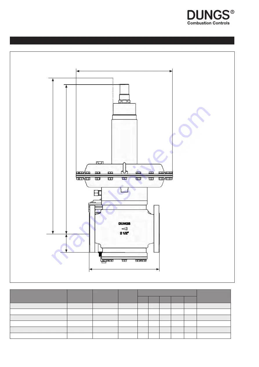 Dungs 273061 Instructions Manual Download Page 12