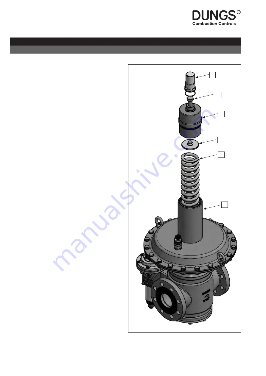 Dungs 273061 Скачать руководство пользователя страница 18