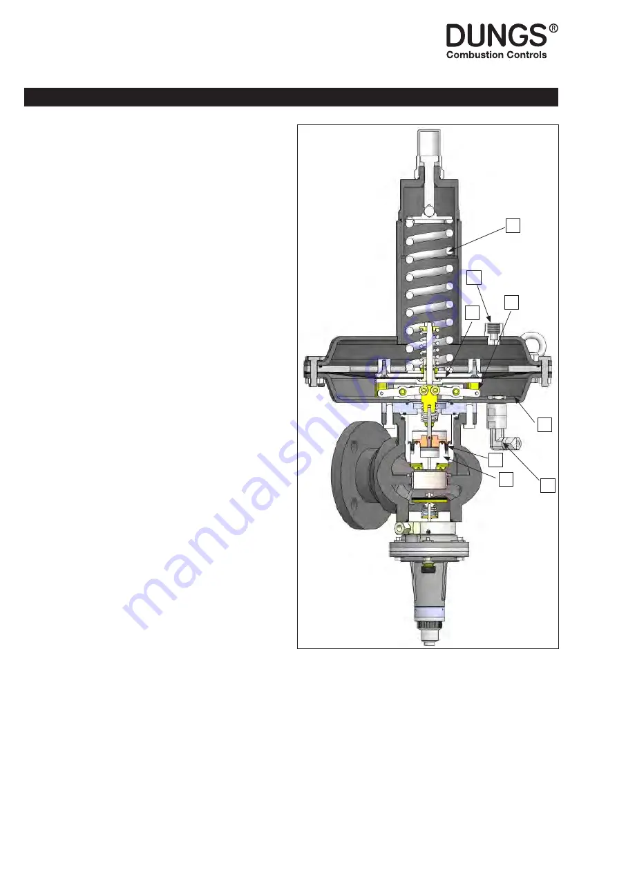 Dungs FRM 100025 HD Instruction Manual Download Page 54