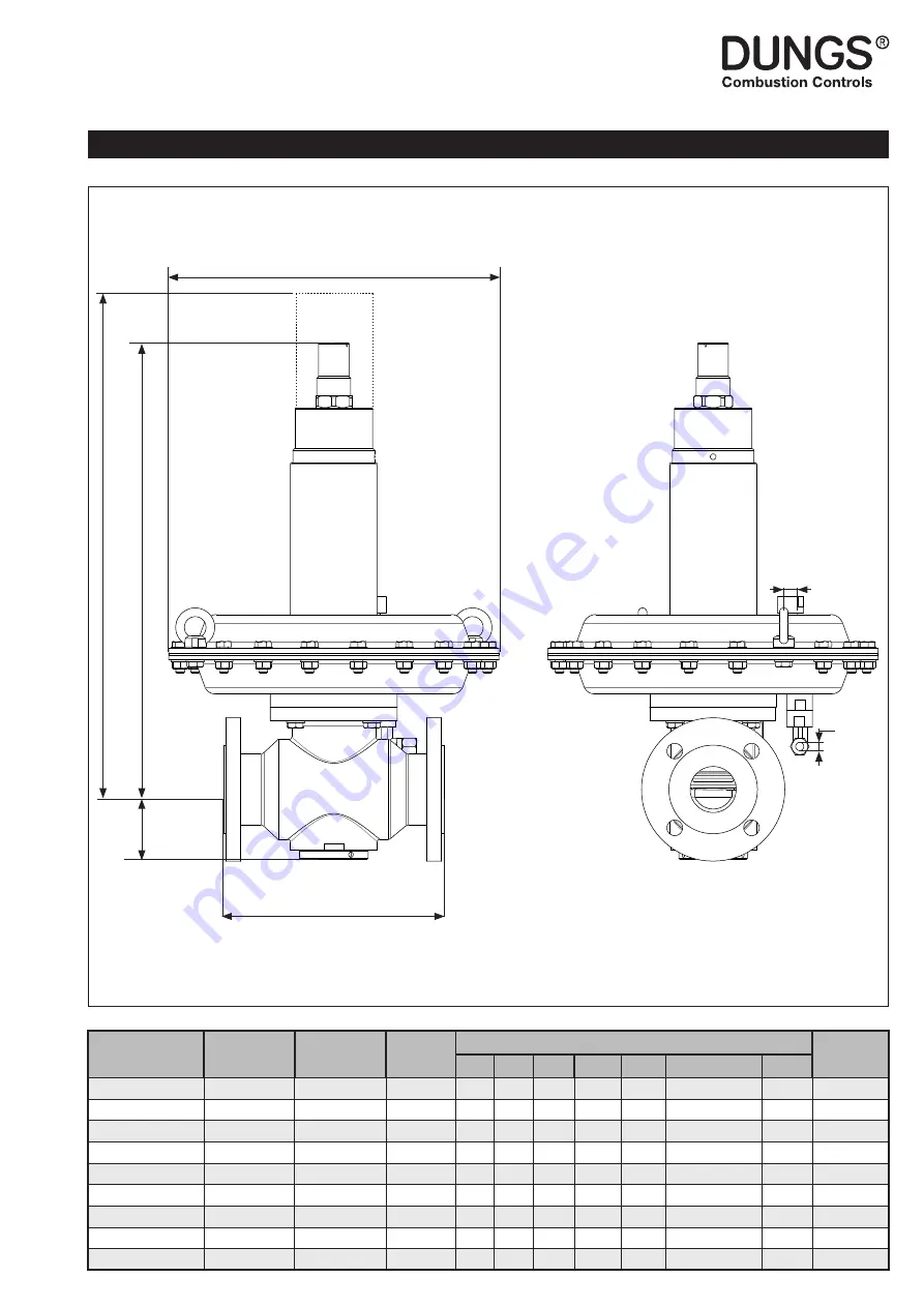 Dungs FRM 100025 HD Instruction Manual Download Page 55