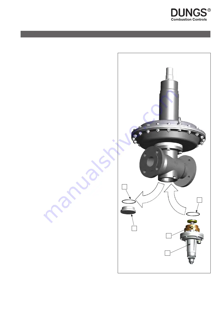 Dungs FRM 100025 HD Instruction Manual Download Page 61