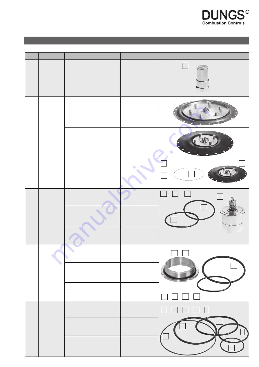 Dungs FRM 100025 HD Instruction Manual Download Page 99