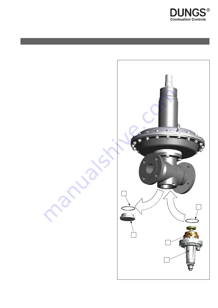 Dungs FRM 100025 HD Instruction Manual Download Page 125