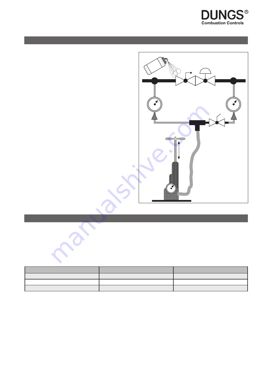 Dungs FRM 100025 HD Instruction Manual Download Page 161