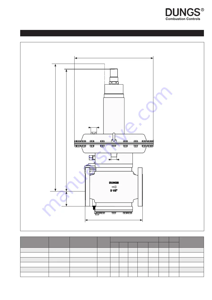 Dungs FRM 100065 Instruction Manual Download Page 13