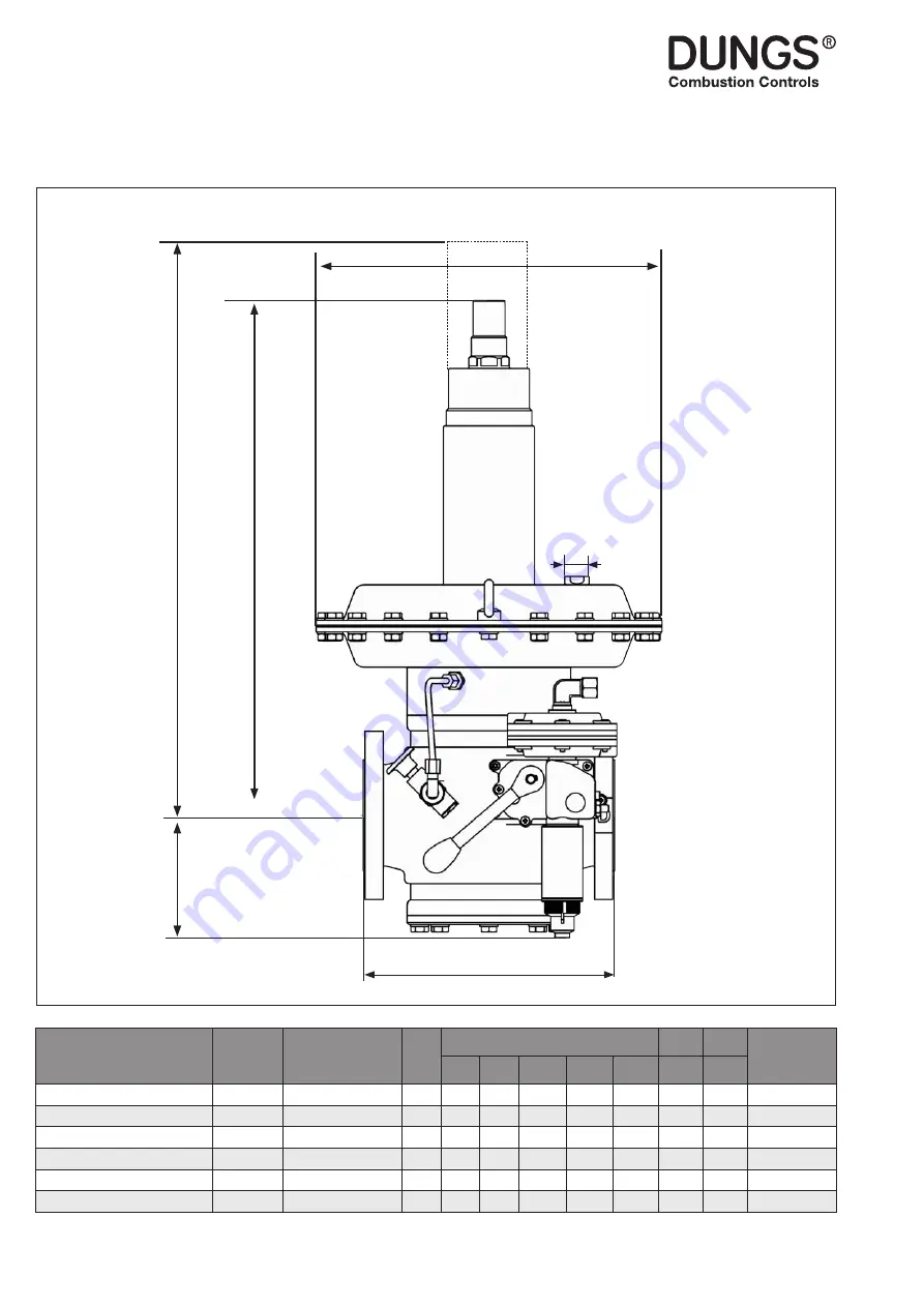 Dungs FRM 100065 Instruction Manual Download Page 14