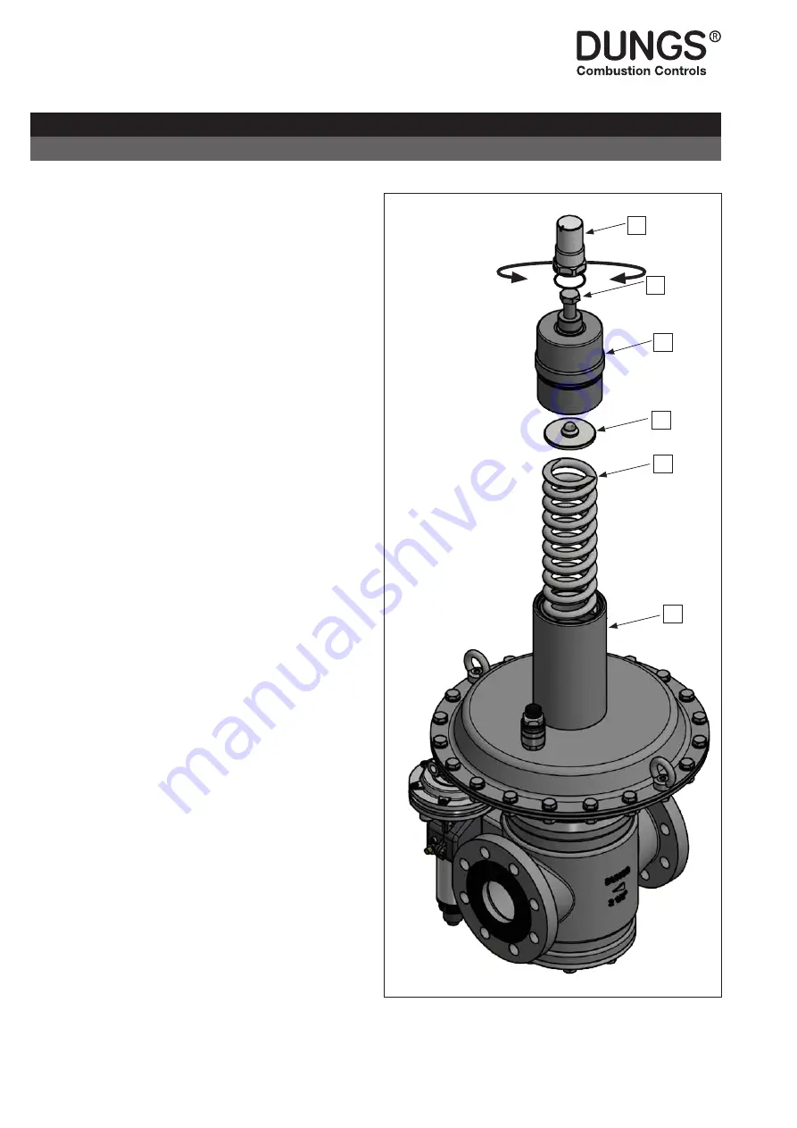 Dungs FRM 100065 Instruction Manual Download Page 20