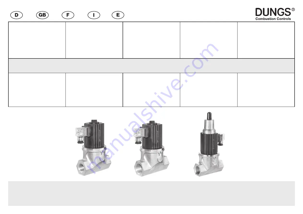 Dungs GSV 203 Скачать руководство пользователя страница 1