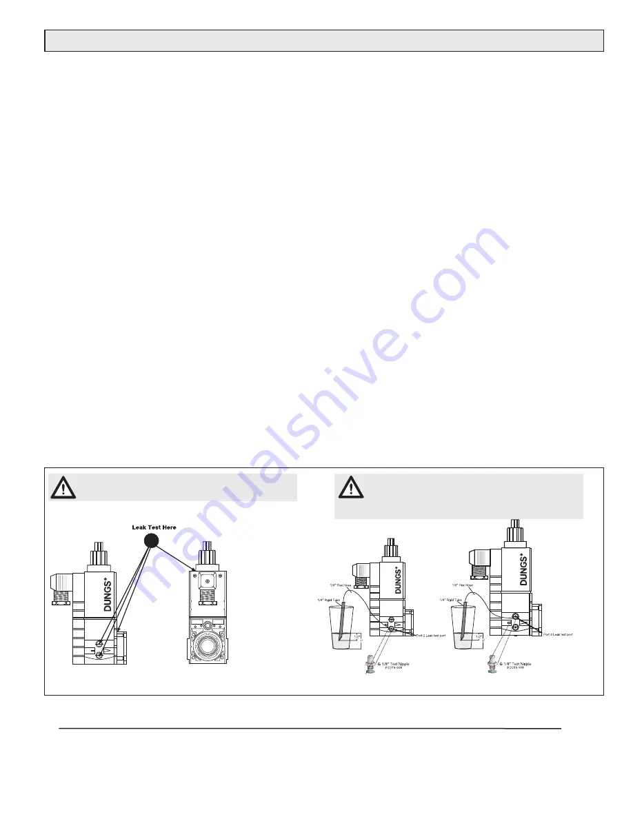 Dungs SV-DLE 1005/604 Скачать руководство пользователя страница 5