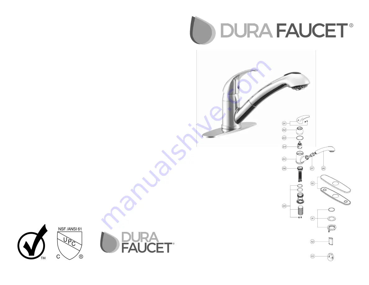 Dura Faucet DF-NMK852 Скачать руководство пользователя страница 1