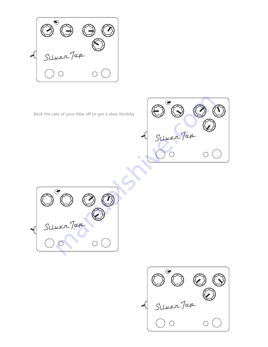 DVK Technologies Silver Top Quick Manual Download Page 2