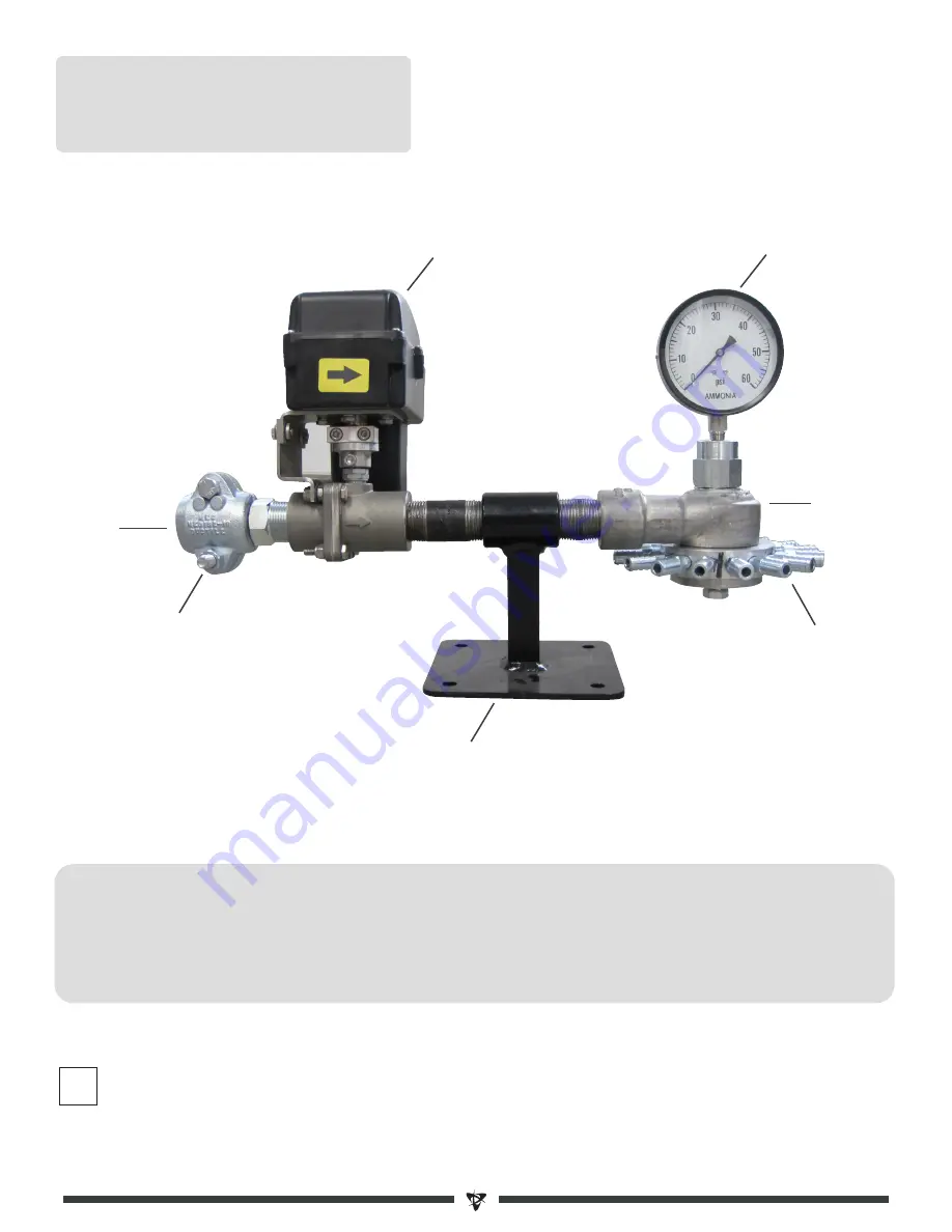 DyTerra NH3 Скачать руководство пользователя страница 11