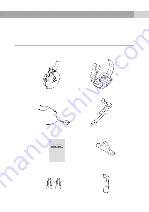 E-Collar Technologies Einstein ET-1202A Owner'S Manual Download Page 4