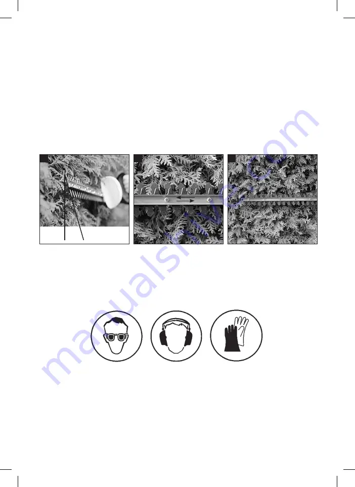 E-FLOR AHS 18 LI N Manual Download Page 119