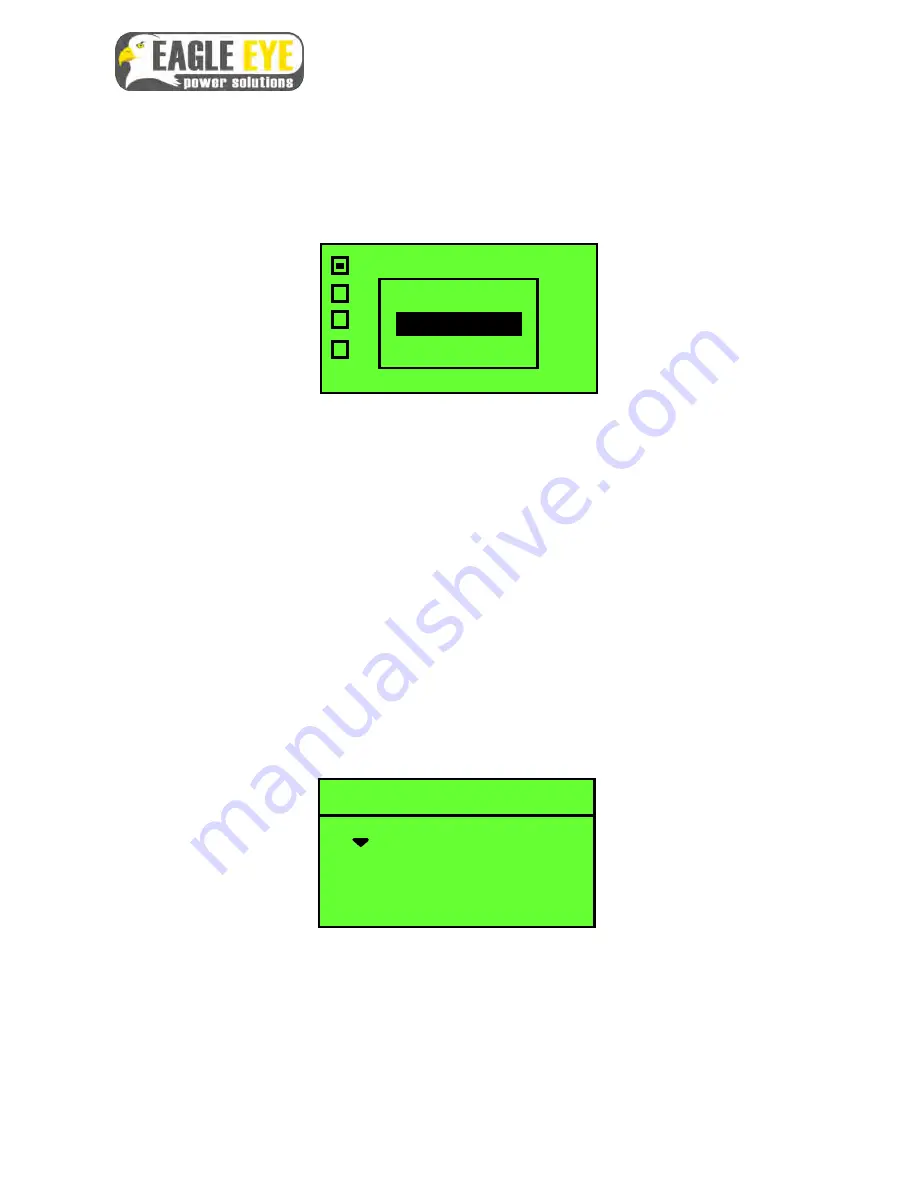 Eagle Eye SLB Series User Manual Download Page 36