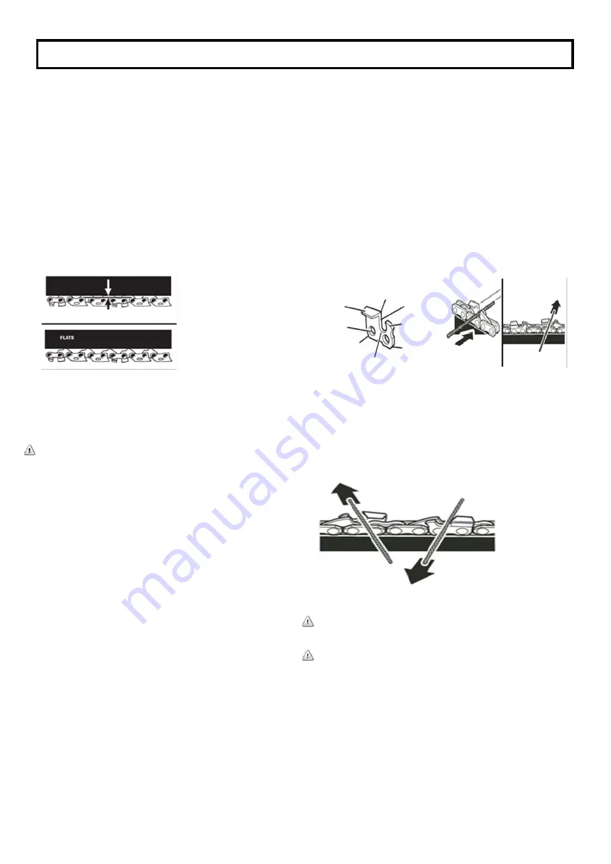 EarthWise CVPS43010 Скачать руководство пользователя страница 8