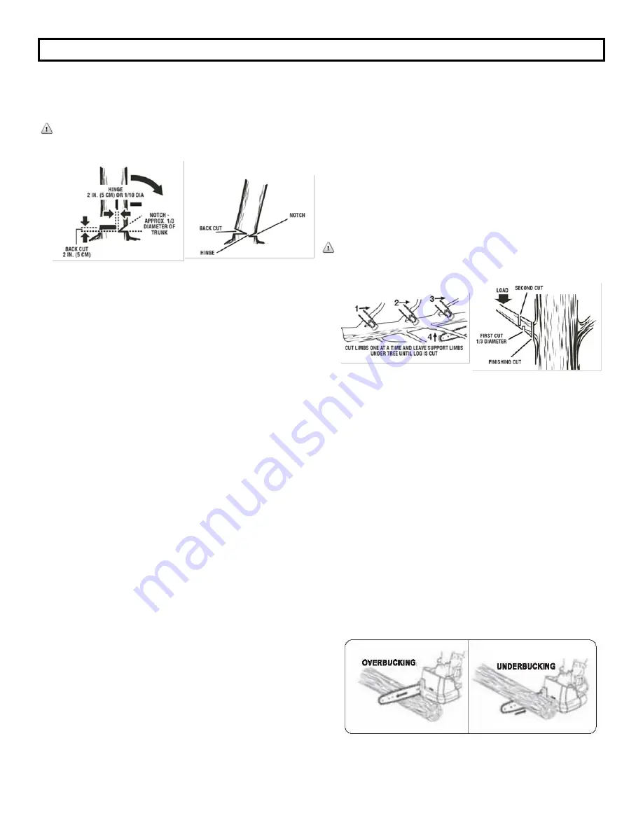 EarthWise LCS34014 Скачать руководство пользователя страница 10