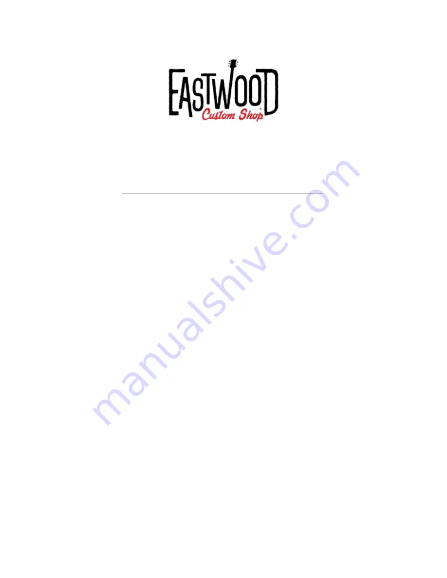 Eastwood TIGER GUITAR Manual Download Page 1