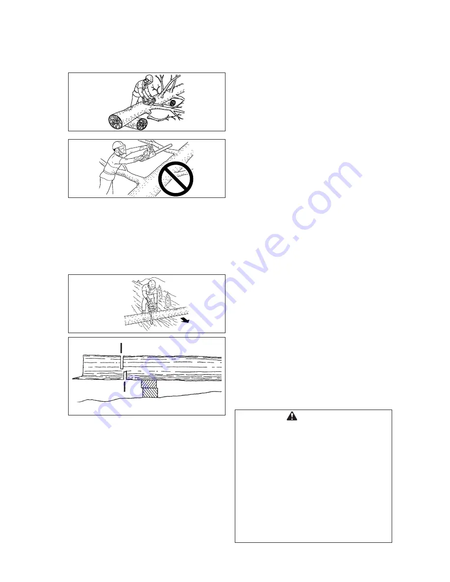 Echo CS-8000 TYPE1-E Instruction Manual Download Page 21