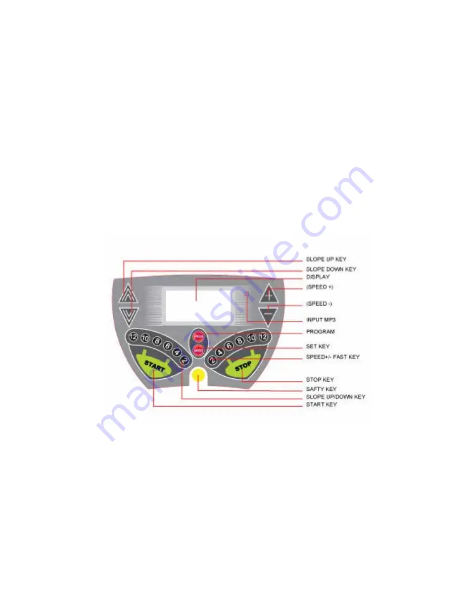 Eco-De ECO-2595 User Manual Download Page 19