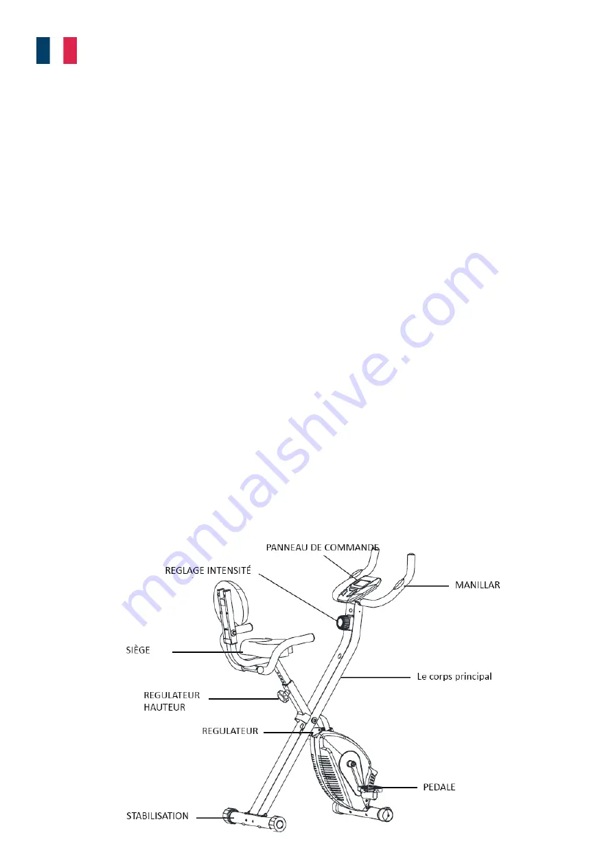 Eco-De ECO-808 X-BIKE TOP User Manual Download Page 8