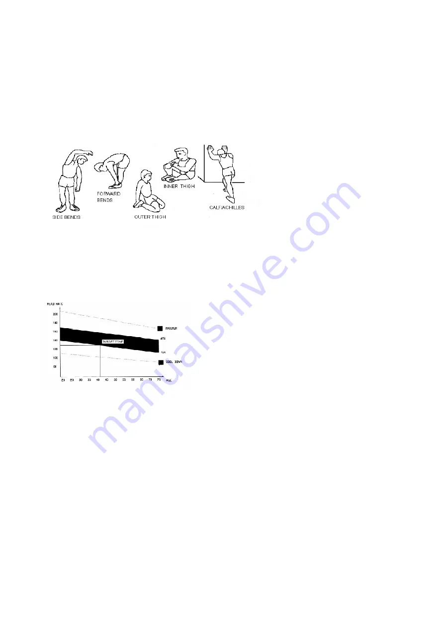 Eco-De ECO-819 User Manual Download Page 3