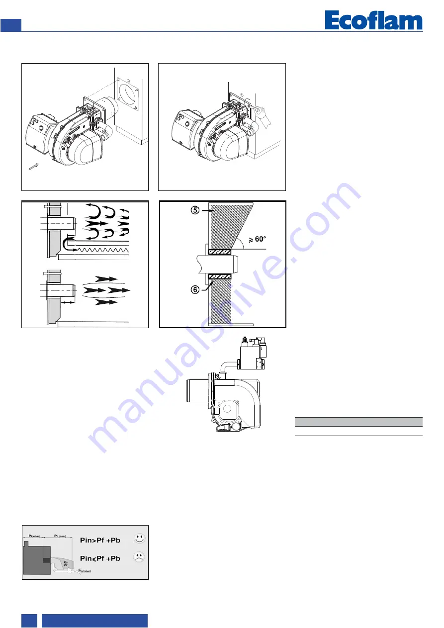 Ecoflam 3143283 Скачать руководство пользователя страница 10