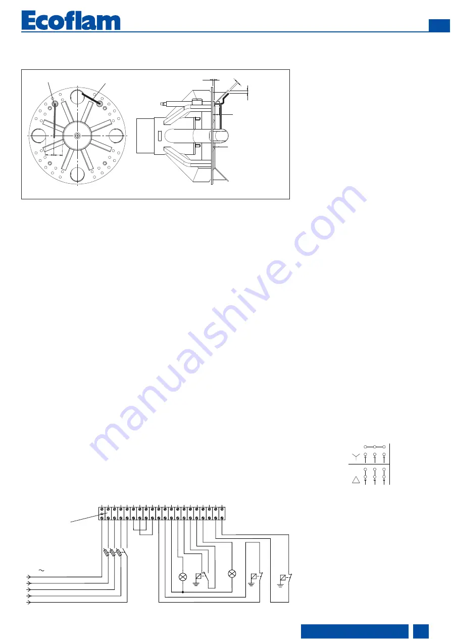 Ecoflam 3145120 Manual Download Page 21