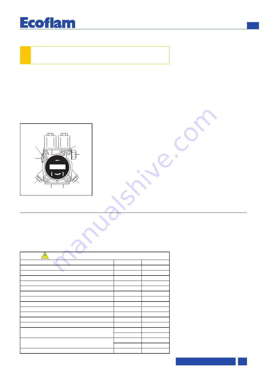 Ecoflam 3147824 Скачать руководство пользователя страница 15