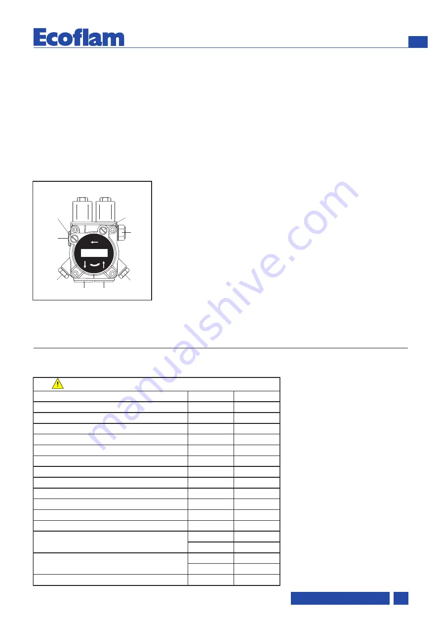 Ecoflam 3147824 Manual Download Page 27