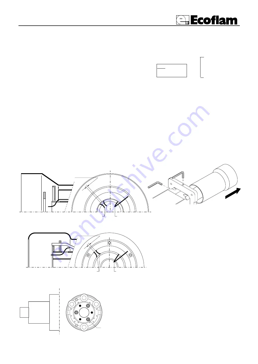 Ecoflam Blu 1000 PR/MD Скачать руководство пользователя страница 6