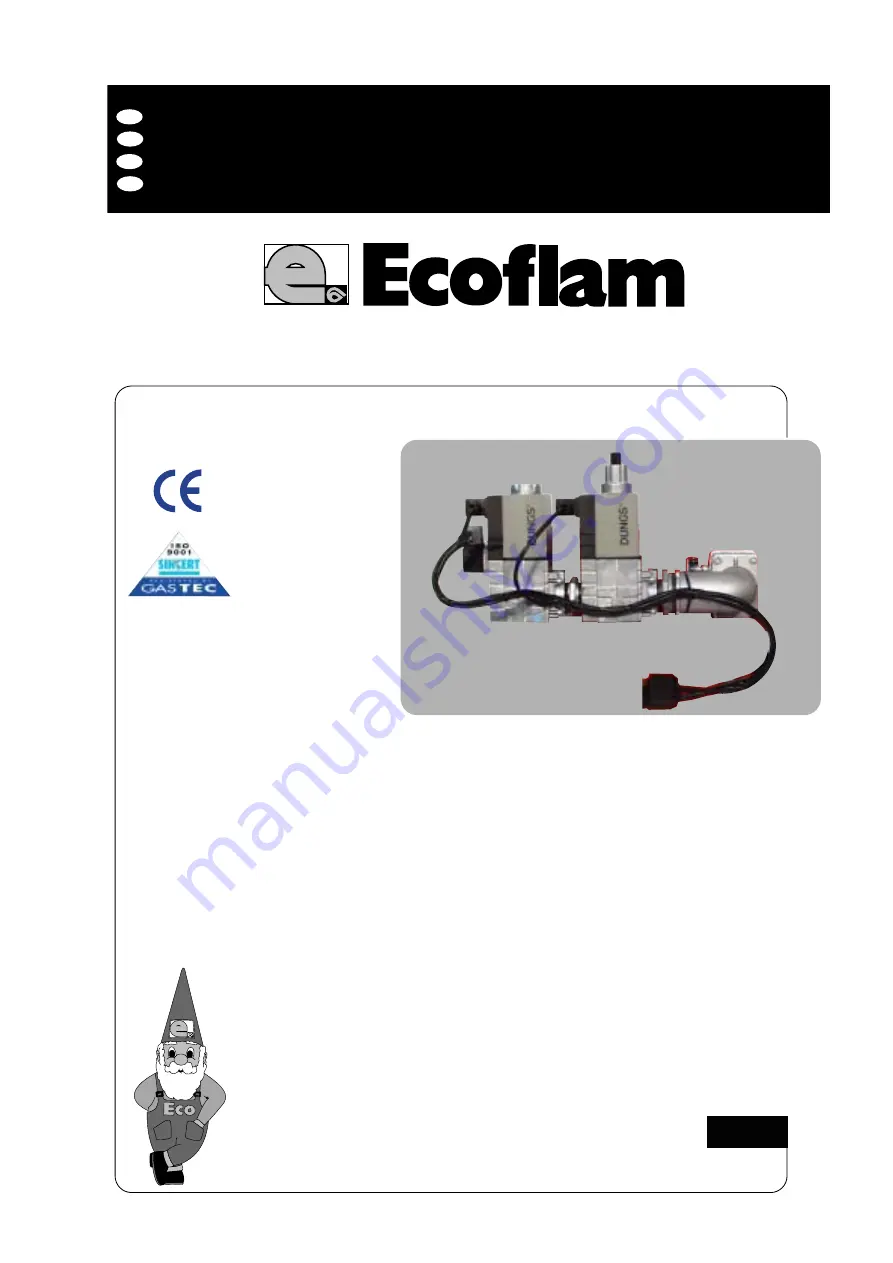 Ecoflam Blu 1000 Скачать руководство пользователя страница 1