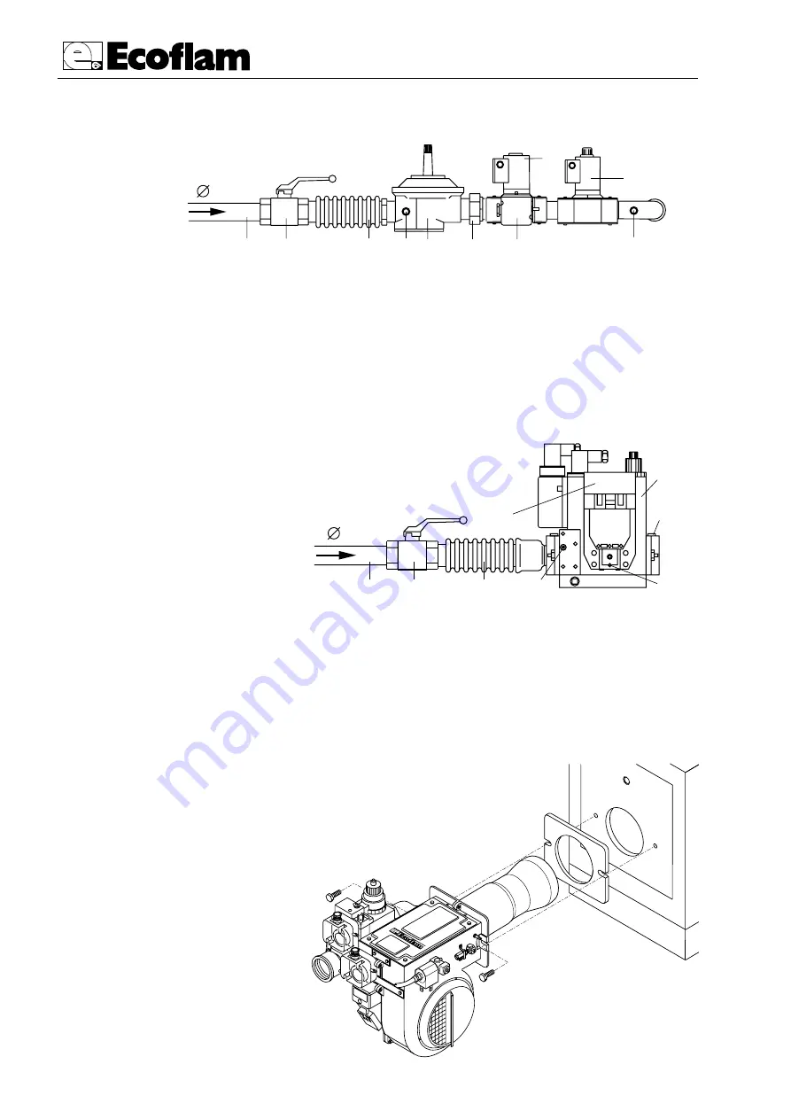 Ecoflam BLU 170 P Manual Download Page 4