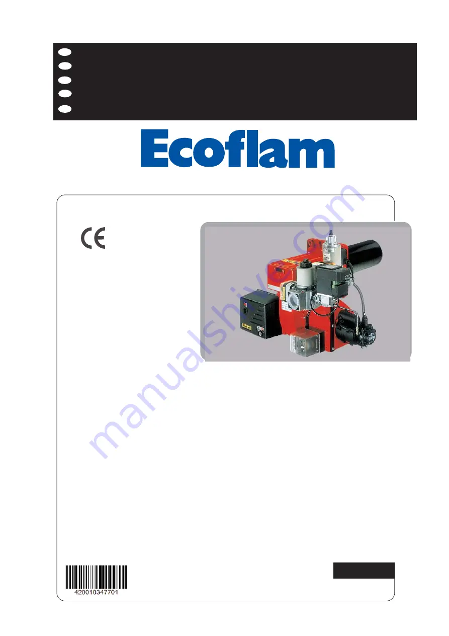 Ecoflam DUAL 1 Скачать руководство пользователя страница 1