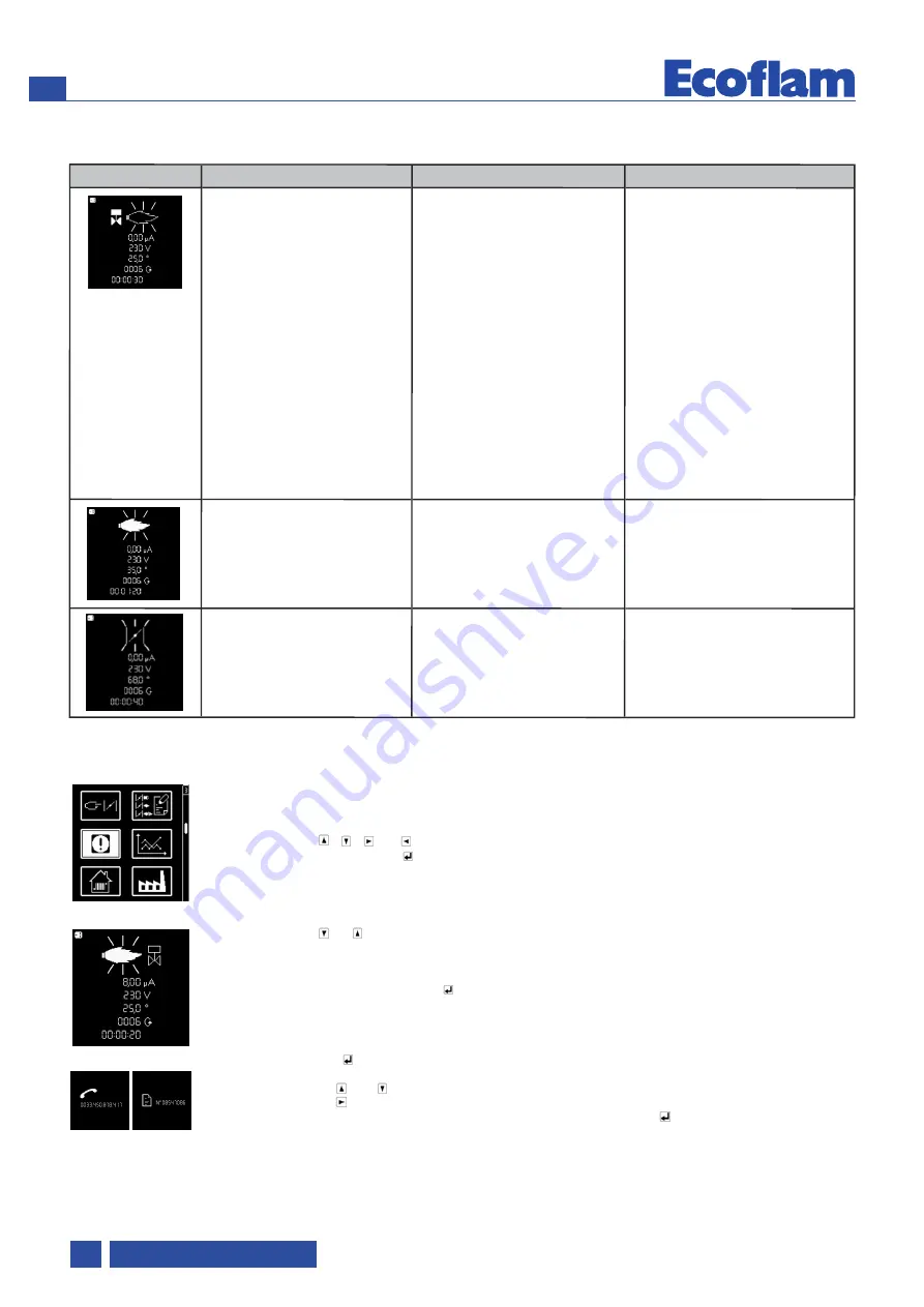 Ecoflam MAX GAS 170 PAB Manual Download Page 100