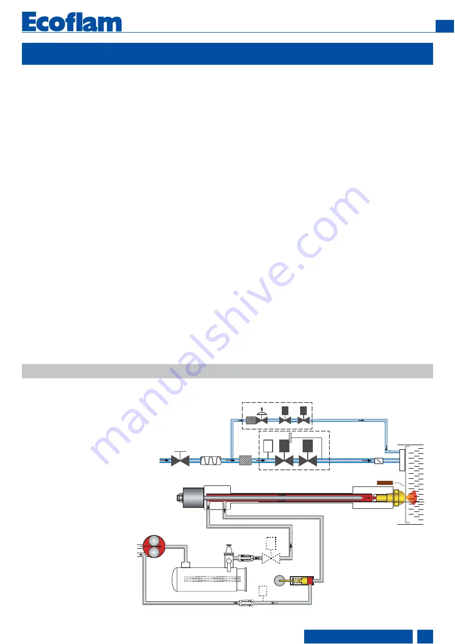 Ecoflam MULTIFAM 500.1 PRE Скачать руководство пользователя страница 11